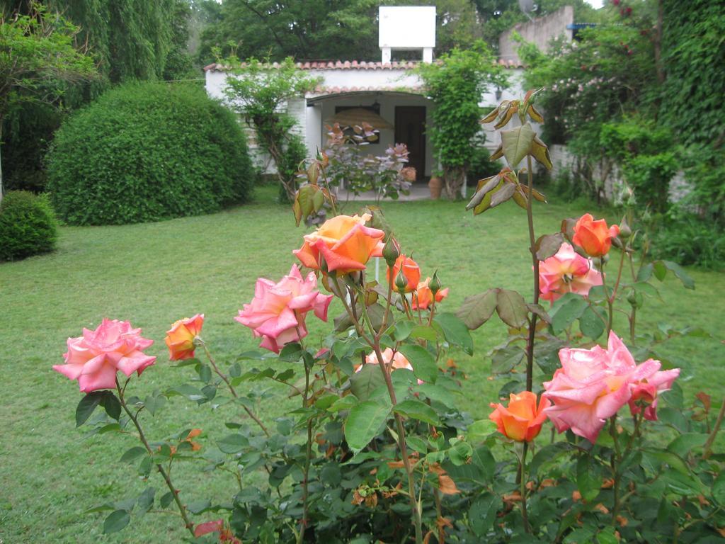 La Casa De Almirall Santa Rosa de Calamuchita Esterno foto